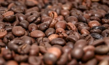 Preço do café registra queda nas últimas semanas