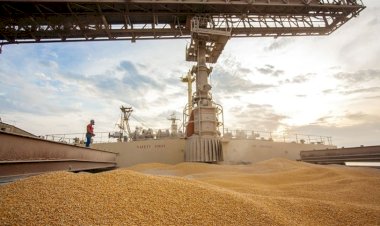 Soja sobe em Barcarena (PA) e milho oscila nos portos