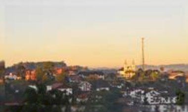 De 80 litros a 2 milhões de litros de leite por dia: a cidade catarinense onde nasceu uma gigante do setor lácteo