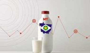 Conseleite/MT divulga valor base a ser pago em outubro com ajuste de -2,6porcento