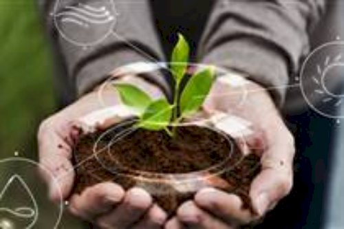 Agricultura regenerativa ganha espaço nas gôndolas do varejo