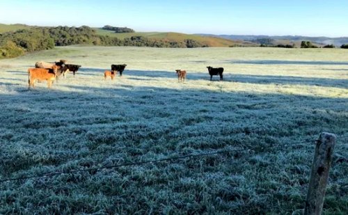 Previsão do tempo: Inmet alerta para chuvas intensas e temperaturas perto de 0°C
