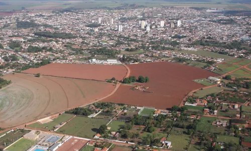 Café, laranja e jabuticaba: como o agro deu nome a cidades paulistas