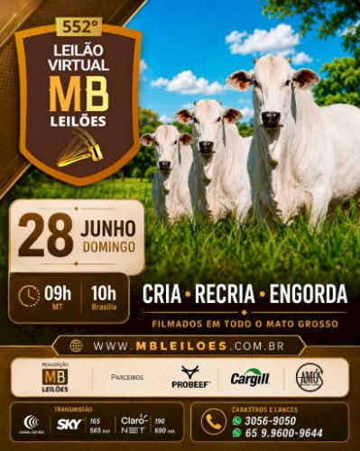 552º LEILÃO VIRTUAL MB LEILÕES