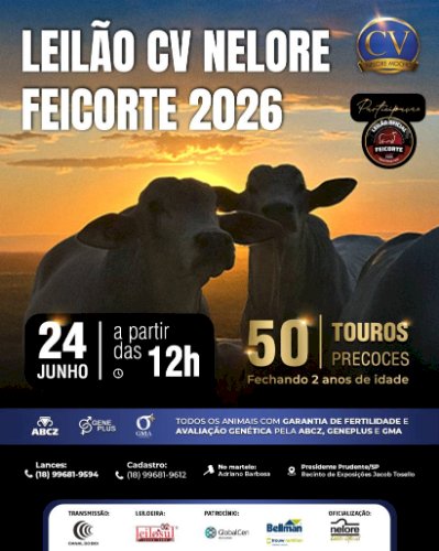 LEILÃO CV NELORE