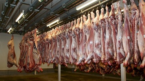 Índice de atratividade das exportações de carne bovina de MT avança 20% em maio/26