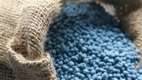 Alta de fertilizantes pressiona safra de grãos