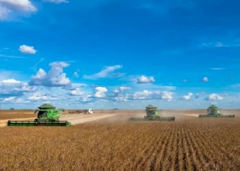 Brasil conclui colheita da soja e encerra safra em todas as regiões produtoras