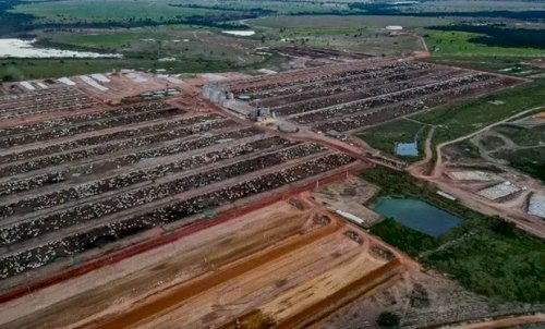 JBJ e Fazenda Conforto desistem de negócio envolvendo confinamento de gado em Goiás