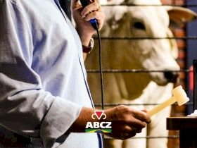 Leilões e shoppings da 19ª ExpoGenética começam a partir de 11 de agosto