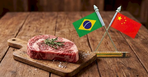Carne bovina: Brasil preenche quase 80porcento cota chinesa e deve esgotá-la em julho/26, prevê Agrifatto