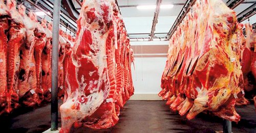Exportações brasileiras de carne bovina in natura superam US$ 1,2 bilhão na parcial de jun/26
