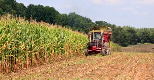 Cotações Agropecuárias