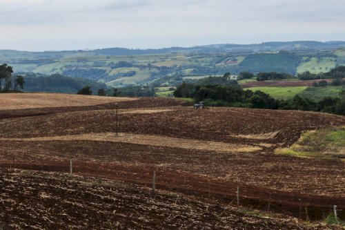 Vazio sanitário da soja está em vigor em Mato Grosso do Sul e segue até 15 de setembro