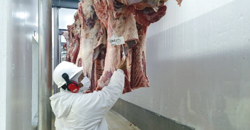 Cotações Agropecuárias
