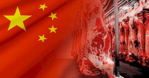 Fim da cota chinesa leva frigoríficos a conceder férias coletivas e reduzir abates