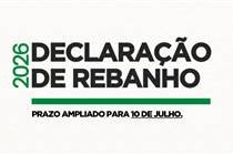 Produtor gaúcho tem até 10 de julho para fazer a declaração anual de rebanho