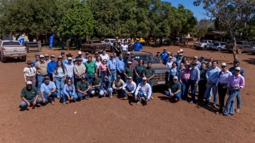 Rota da Pecuária evidencia força da genética tocantinense e atuação da Novilho Precoce Tocantins