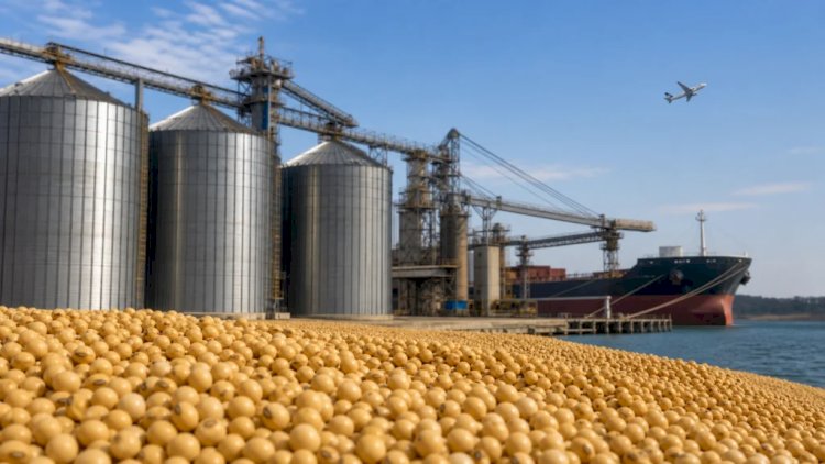 Acordo entre Mercosul e Japão pode beneficiar 18,4porcento pauta exportadora brasileira