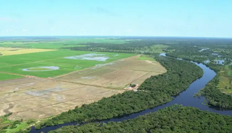 Estudo aponta que R$ 92,4 bilhões do crédito rural foram destinados a imóveis com alertas ambientais