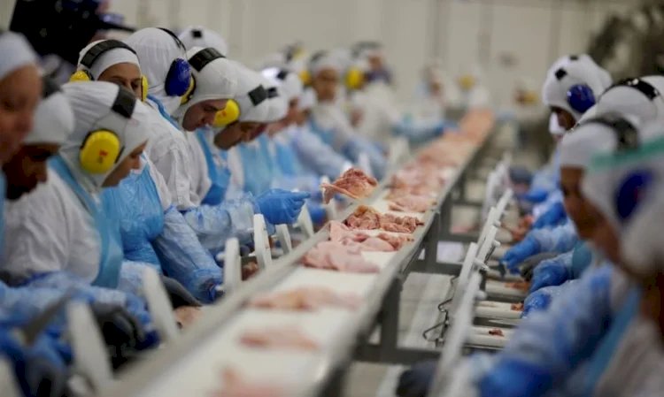 Brasil projeta novo ciclo de crescimento na produção e nas exportações de proteínas animais