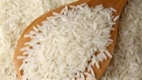 Estudo aponta dose ideal de nitrogênio no arroz