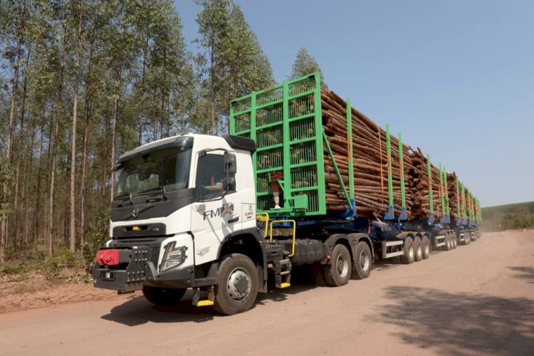Hexatrens da Suzano são autorizados a circular em rodovias de MS