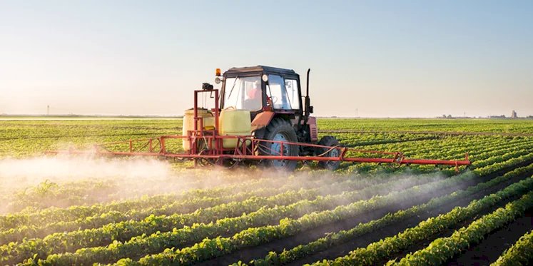 Alta dos fertilizantes reacende alerta para custos da próxima safra e exige atenção dos produtores