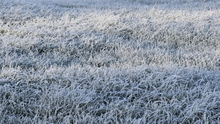 Avanço de ar polar traz frio intenso ao Centro-Sul