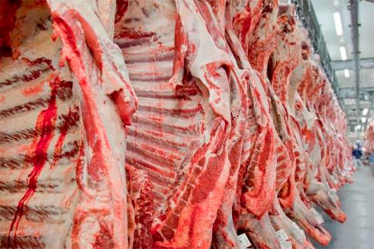 Exportações de carne bovina faturam US$ 11,43 bilhões