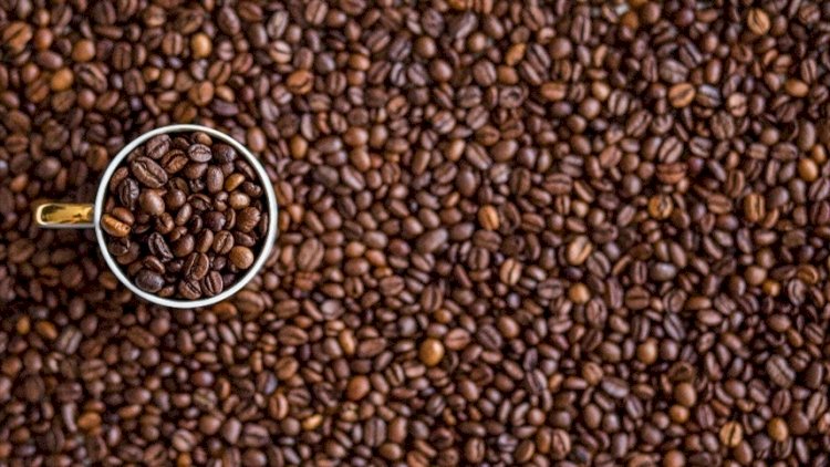 Armazenagem inadequada pode comprometer aroma e qualidade do café
