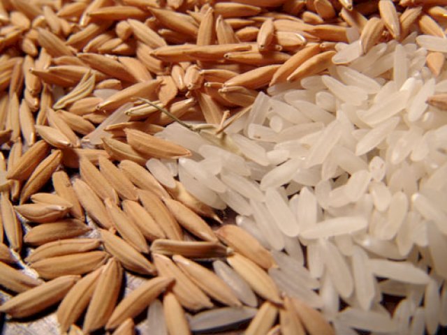 Oferta menor sustenta alta do arroz em casca no RS