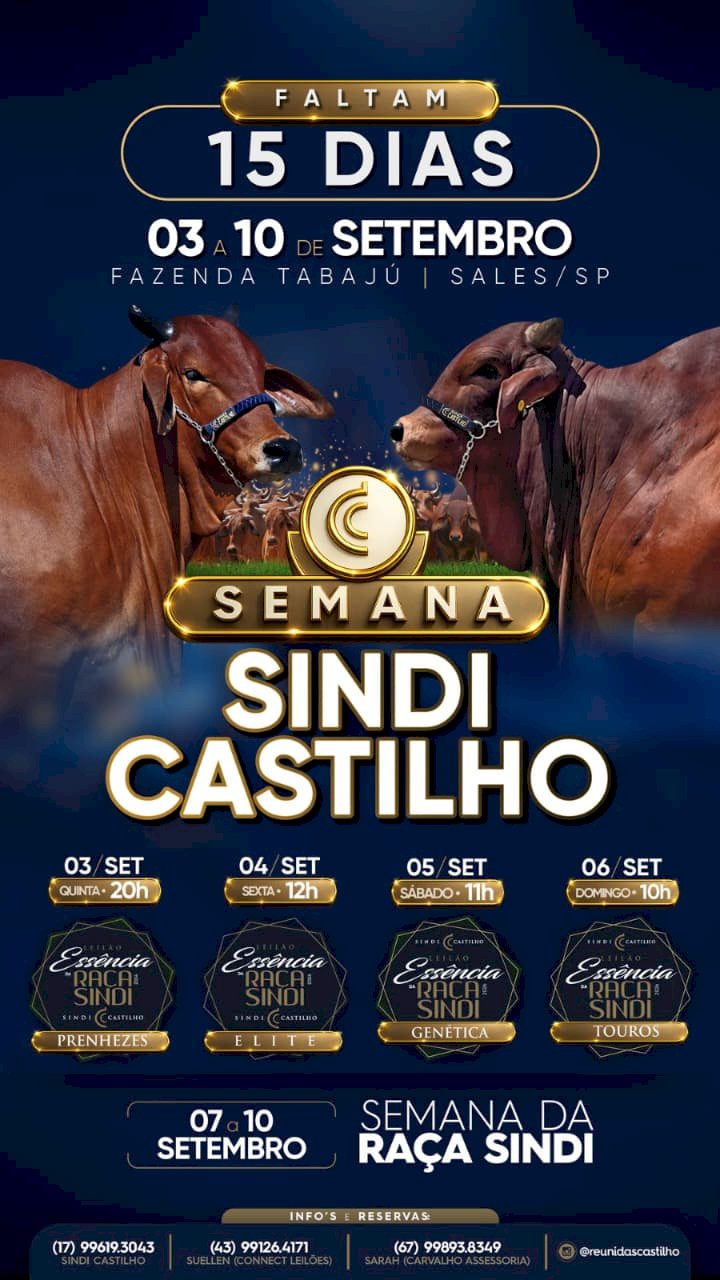 Semana Sindi Castilho! Marque na sua agenda