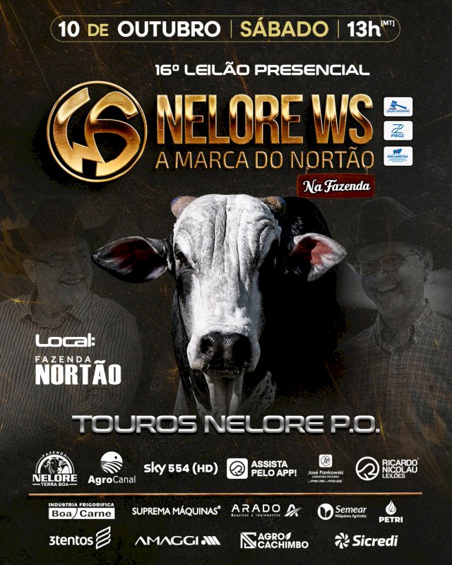 16º LEILÃO NELORE WS