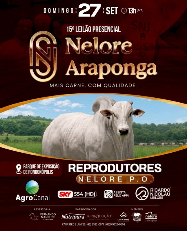 15º LEILÃO NELORE ARAPONGA