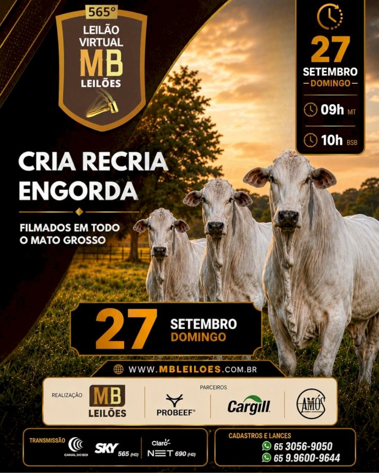 565º LEILÃO VIRTUAL MB LEILÕES