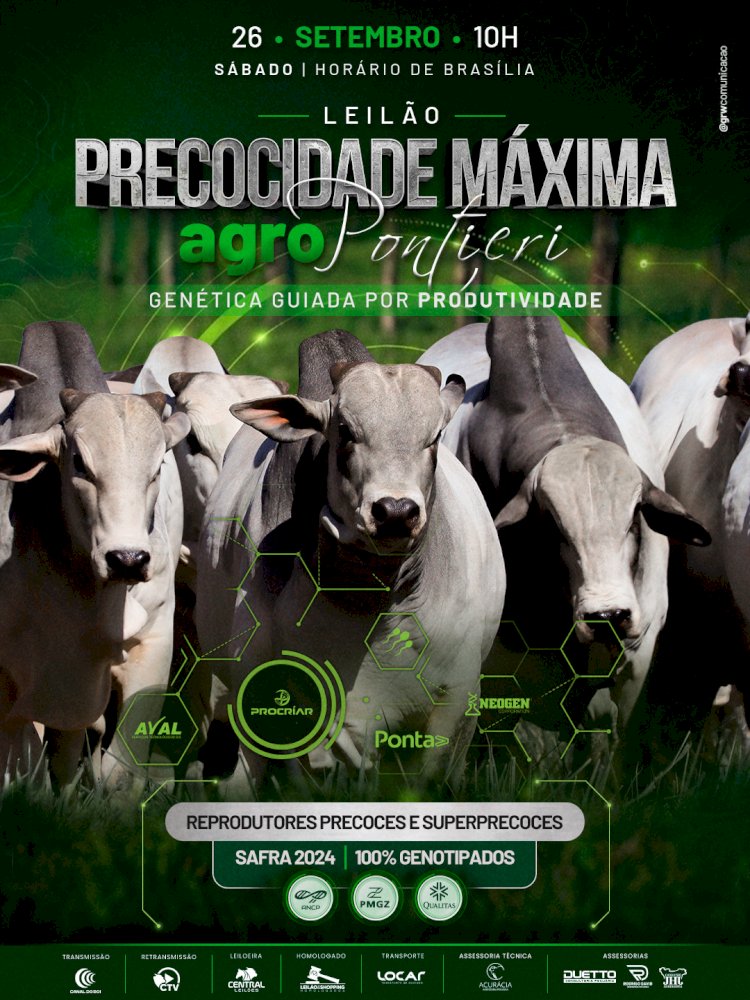 LEILÃO PRECODIDADE MÁXIMA - AGRO PONTIERI