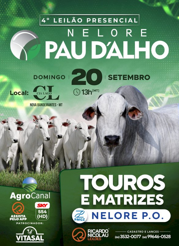4º LEILÃO PRESENCIAL NELORE PAU D'ALHO