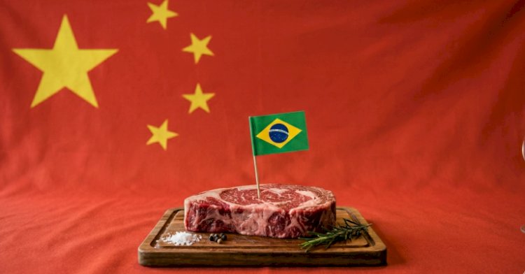 Efeito-China: exportações de carne bovina brasileira in natura recuam 27porcento em agosto/26