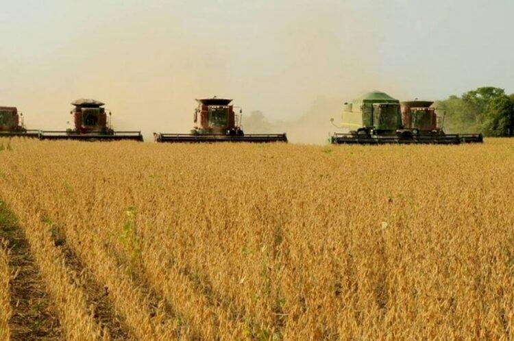 Soja: Brasil exporta 9,81 milhões de toneladas em agosto