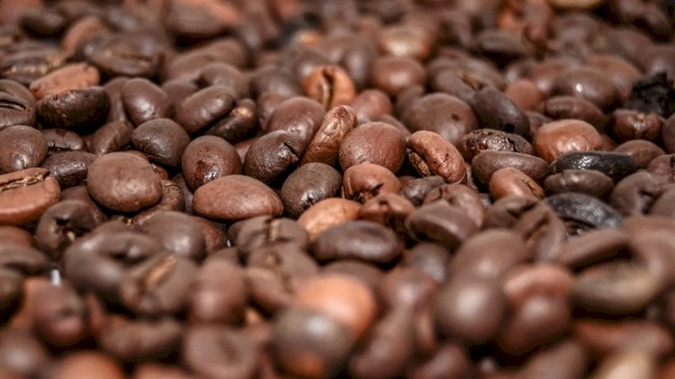 Preço do café registra queda nas últimas semanas
