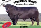 Cotações Agropecuárias