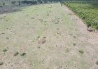 Ibama aplica R$ 29 milhões em multas a fazendeiros por falhas em recuperação ambiental