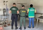 Operação Tô Fraco combate abate clandestino de aves no Ceará e apreende três toneladas de carne