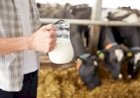 Produtores do Paraná reivindicam ações diante dos desafios do setor