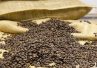 Infraestrutura estrangulada nos portos gera prejuízo de R$ 8,7 mi a exportadores de café em outubro