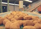 McCain vai investir R$ 1,8 bilhão para ampliar fábrica em Minas Gerais