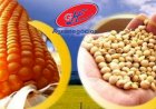 Soja, carne e café impulsionam exportações e agro fecha novembro com US$ 13,4 bi