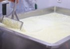Depois do Paraná, Goiás proíbe a venda de leite líquido feito a partir de leite em pó importado