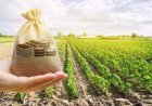 MG: crédito rural recua 16% na safra 2025/26